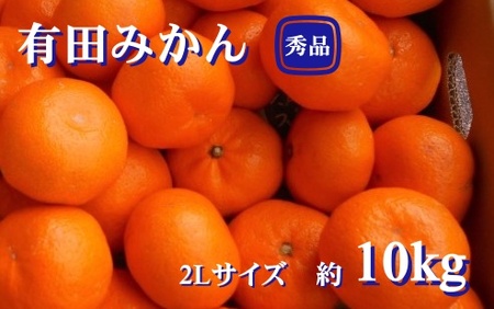 紀州有田みかん 秀品 約10kg ２Lサイズ　※2026年11月24日より順次発送予定 / みかん ミカン 果物 フルーツ 柑橘 オレンジ 【sml129B】 