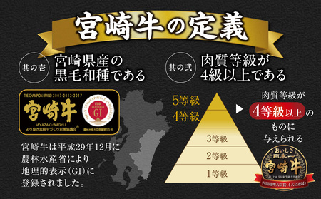 畜産農家応援! 宮崎牛サイコロステーキ2種セット500g×2パック+粗挽きウィンナー90g_17-N204-ESW_(都城市) 黒毛和牛 赤身 霜降り 肩ロース ウデモモ 1kg ギフト 贈答用