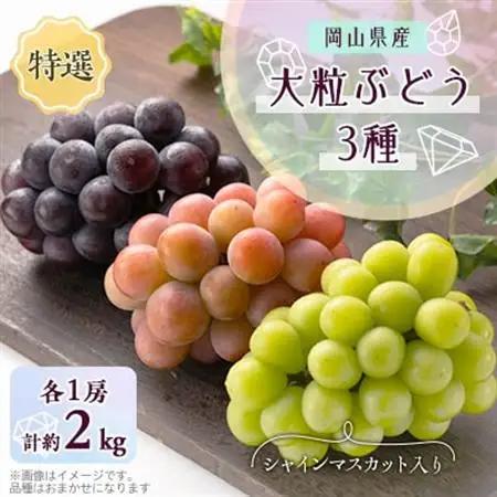 1061.【先行受付】特選大粒ぶどう3種セット(シャインマスカット入り)9月末～12月末発送予定【1488997】