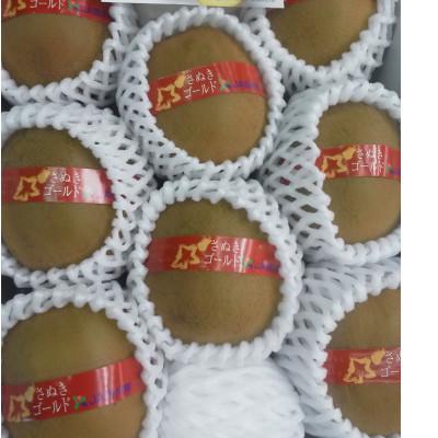 ふるさと納税 三豊市 【造田商店】さぬきゴールドキウイ【黄様】7〜9個入り 約1.2kg×1箱