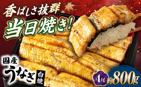 国産活うなぎ4尾（白焼）[AQDF013] 鰻 白焼き 国産 活うなぎ