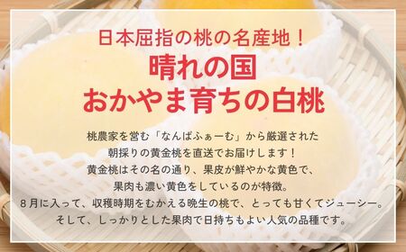 【2025年先行予約】［なんばふぁーむ］岡山県産 黄金桃 4.0kg（11～14玉）［ご家庭用］