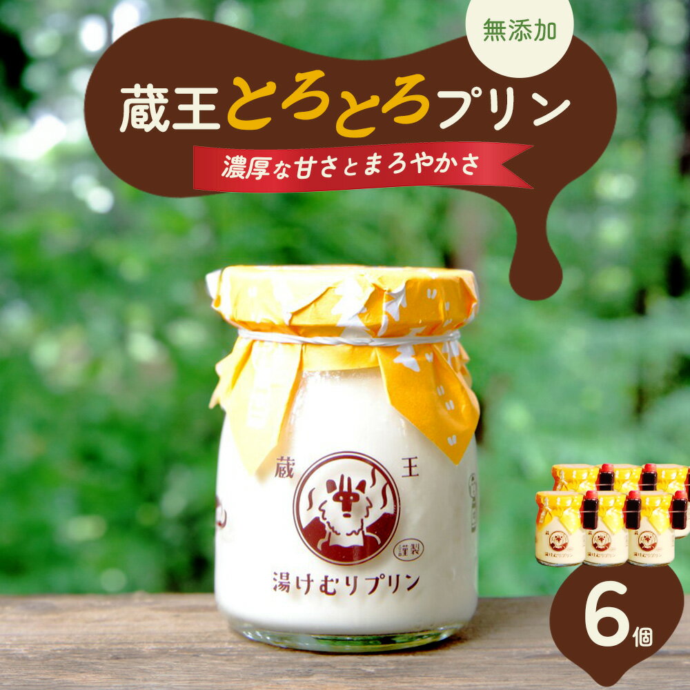 【ふるさと納税】蔵王初のプリン専門店が贈る【蔵王トロトロプリン6個セット】　【04301-0340】