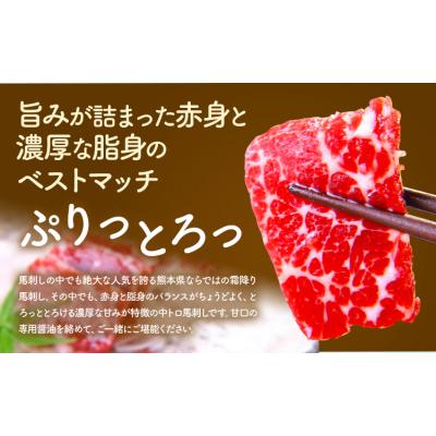 ふるさと納税 南阿蘇村 馬刺し 熊本 ならでは 霜降り馬刺し たっぷり 500g 《30日以内に出荷予定(土日祝除く)》 |  | 01