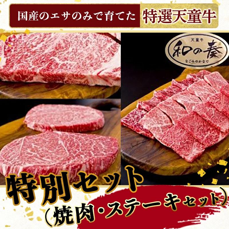 
                  08-27-025　農林水産大臣賞受賞　特選天童牛"和の奏"　特別セット(焼肉・ステーキセット)
                