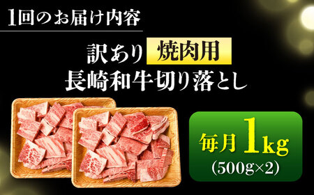 【3回定期便】【訳あり】 A4-A5 長崎和牛 焼肉切り落とし 500g×2 (肩ロース/バラ)  [DBS046] 訳アリ 牛肉