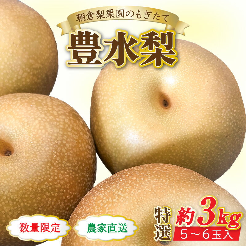 【ふるさと納税】【先行予約】《数量限定》豊水梨 特選 5～6玉入 約3kg もぎたて 新鮮 ／ 期間限定 果物 フルーツ 農家直送 お取り寄せ 豊水 梨 なし 福井県 あわら市 ※2026年9月上旬より順次発送予定