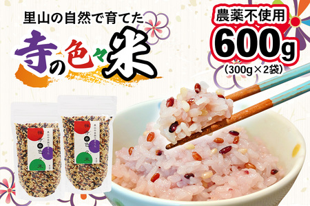 [農薬不使用] 里山の自然で育てた「禅寺の色々米」計600g (300g×2袋)｜上総自然学校 禅寺 真光寺 谷津 田 こめ 色米 有色米 雑穀 黒米 赤米 緑米 紫米 コメ 袖ケ浦 千葉 [0692]