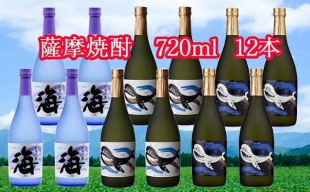 G7-2502／大海酒造特選飲み比べ 720ml 12本