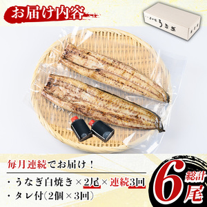 y491《定期便・全3回》国産！うなぎ白焼き(2尾×3回・タレ付き) 国産 九州産 鰻 ウナギ 有頭 魚 魚介類 かばやき 蒲焼 蒲焼き しろやき 白焼 おかず 特産品 お土産 ギフト プレゼント 冷