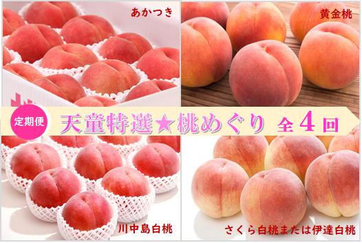 
                  08-08-051　天童特選★桃めぐり(定期便)全4回
                