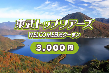 WELCOME日光クーポン 3000円分｜宿泊券 [0099]