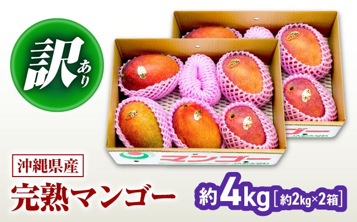 
                  マンゴー【2026年発送 先行予約】 完熟マンゴー 訳あり 約4kg (約2kg×2箱) ちゃんぷる～市場 [BCAA007] マンゴー フルーツ ふるーつ まんごー くだもの 果物 mango 果実 トロピカルフルーツ 訳アリ わけあり ワケあり ワケアリ 沖縄県産 完熟 芒果 家庭用 国産 南国 デザート 産地直送 直送 季節限定 旬 スイーツ 国産 家庭用 ご当地 特産品 送料無料 沖縄市
                
