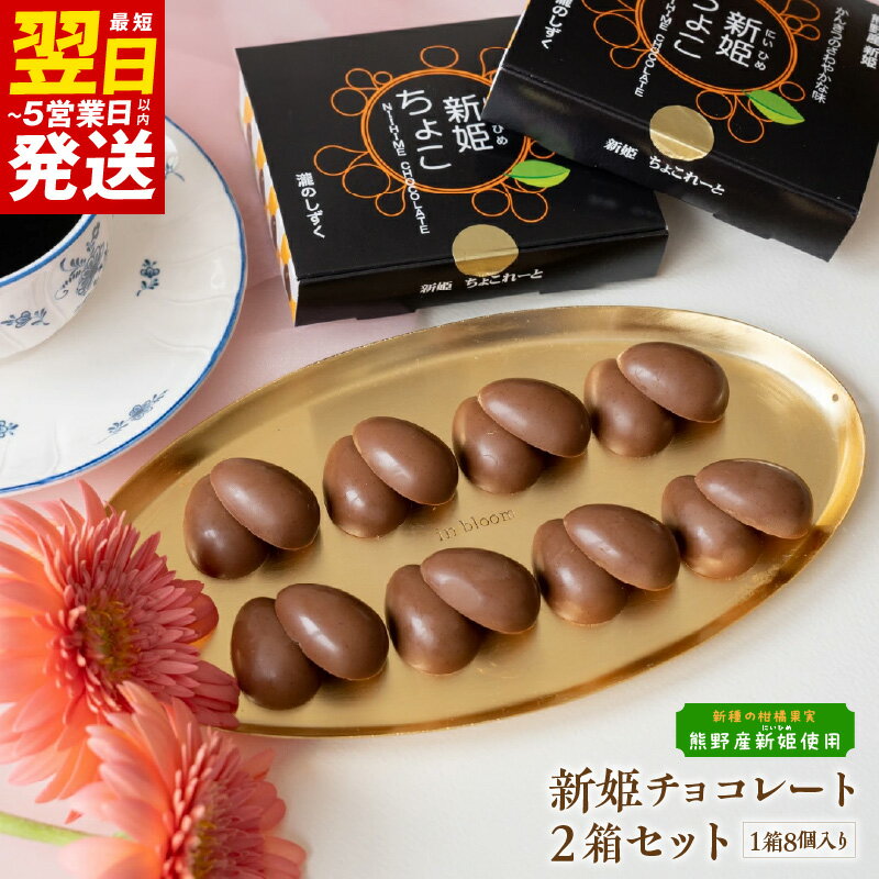 【ふるさと納税】新姫(にいひめ)チョコレート 2箱セット 瀧のしずく