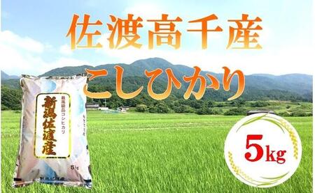 【令和6年産】佐渡高千産こしひかり 5kg