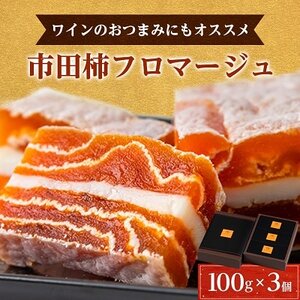 【ワインのおつまみにもオススメ】市田柿フロマージュ　100g×3個【配送不可地域：離島】【1033714】