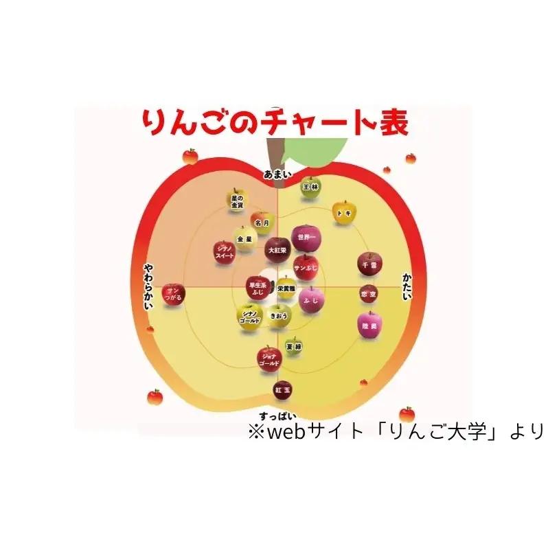 りんご 【10月発送】 家庭用 旬のりんご 品種おまかせ 約 5kg 2品種～4品種　リンゴ 林檎 青森りんご アップル おまかせ ランダム フルーツ 果物 デザート 旬 季節限定 産地直送 青森県産