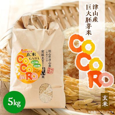 ふるさと納税 津山市 【突鉱土育ち】巨大胚芽米CoCoRo 5kg
