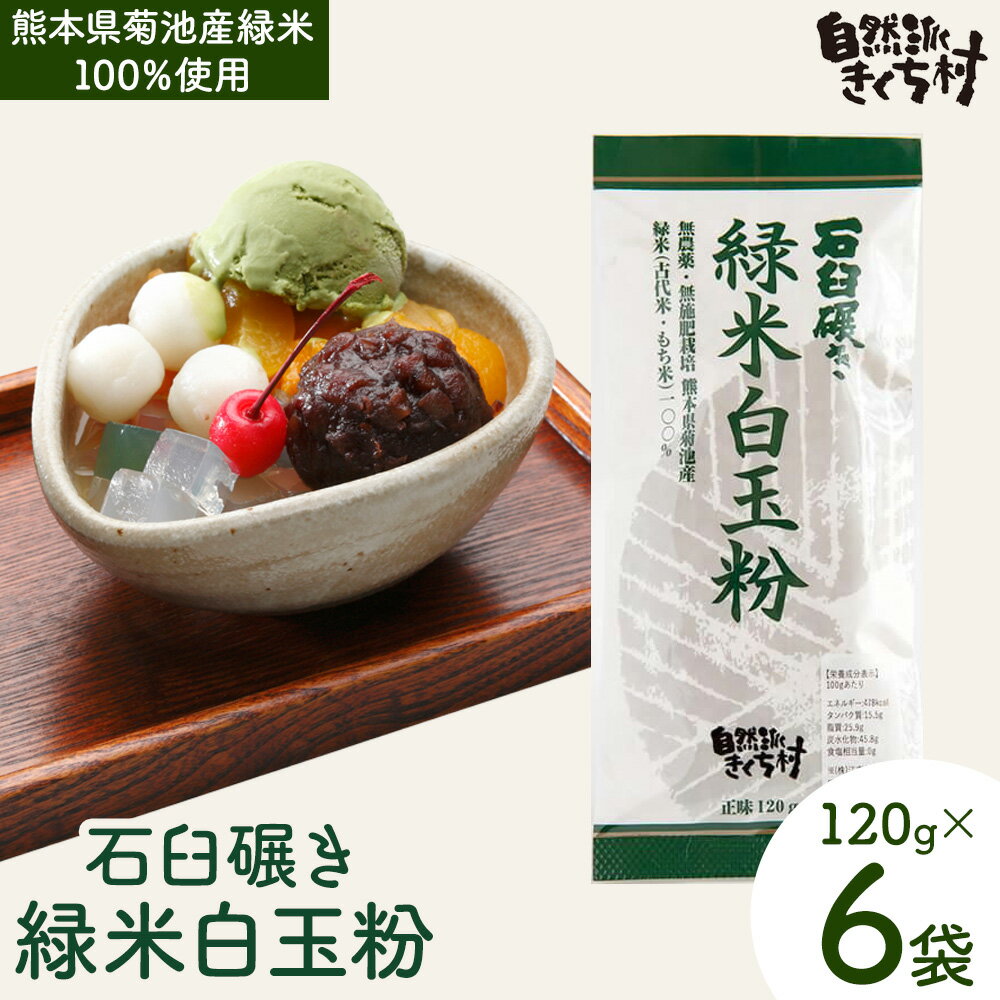【ふるさと納税】きくち村の緑米白玉粉 120g×6袋 合計720g 自然派きくち村(有限会社渡辺商店)《30日以内に出荷予定(土日祝除く)》熊本県 菊池市 白玉粉 自然栽培の緑米使用 白玉 粉末 もち米 製菓用 和菓子 熊本県産 九州産 国産
