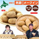 【ふるさと納税】北海道 幌加内産 じゃがいも （ 男爵 ・ メークイン ）約20kg 笠井ファーム　野菜・じゃがいも・ジャガイモ・芋　お届け：2024年9月下旬～12月中旬