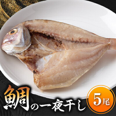 【ふるさと納税】 鯛 一夜干し 5尾 冷凍 たい 個包装 国産 無添加 鯛茶漬け 炊き込みご飯 鯛めし 海鮮 新鮮 魚介 海の幸 海産物 シーフードエム・エム 愛知県 南知多町
