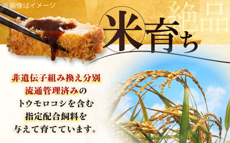 【全6回定期便】 三元豚 ロースステーキ 8枚（100g/枚）  藻塩付き 《喜茂別町》【平田牧場】肉 豚肉 ロース ステーキ ステーキ用 とんかつ トンテキ 生姜焼き 冷蔵配送 定期便[AJAP02