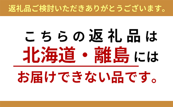 【期間限定】日南トマト　約4kg（20～24玉／箱）