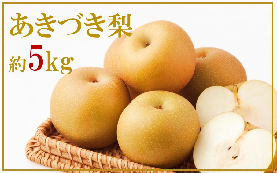 
                  【先行予約】令和8年発送/数量限定！矢野果樹園の梨『あきづき』5kg_2061R
                