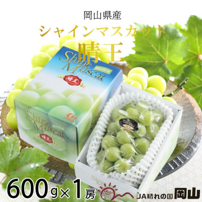 【2026年8月下旬より発送】岡山県産 シャインマスカット 晴王 600g×1房 ぶどう 葡萄 ブドウ フルーツ 果物