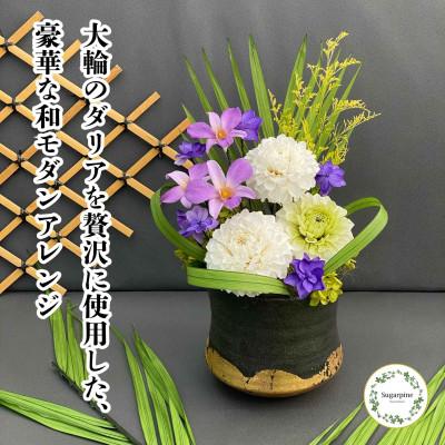ふるさと納税 春日部市 プリザーブドフラワーアレンジ【誉(ほまれ)】春日部市 シュガーパイン