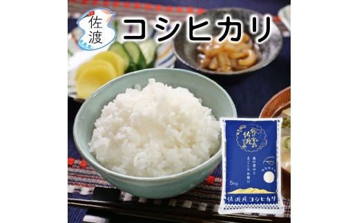 佐渡島産コシヒカリ 無洗米25kg（5kg×5袋） 農薬・化学肥料5割減【食の宝島佐渡】