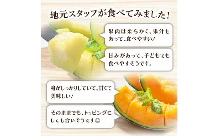 高級土佐アールスメロン2玉入り メロン めろん 赤白セット 赤玉×白玉 3kg以上 舐瓜 果物 くだもの フルーツ デザート スイーツ おやつ 高級 常温 配送