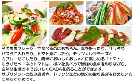 機能性表示食品 ミニトマト ゆうがたベーネ 3kg トマト is-0015