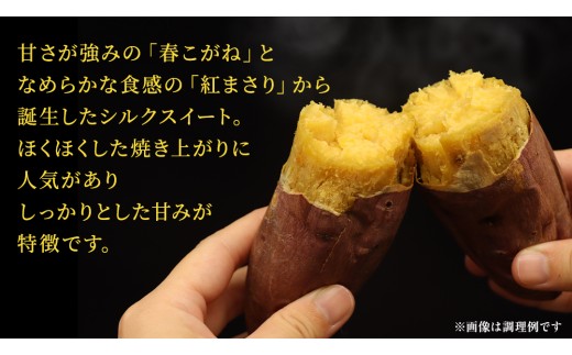 さつまいも 【 シルクスイート ・ ほしあかね 】 5kg ( 箱込 )の 2箱セット さつまいも 詰合せ 国産 農園 野菜 サツマイモ 芋 期間限定 デザート スイーツ おやつ 料理 味噌汁 煮物 