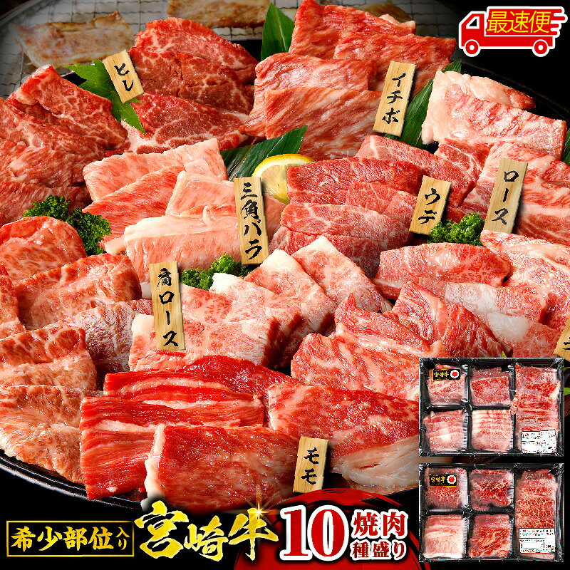 【ふるさと納税】【発送時期・定期便が選べる】宮崎牛 焼肉 10種 盛り合わせ 牛肉 肉 お肉 精肉 牛 赤身肉 赤身 焼き肉 焼肉セット イチボ バラ カルビ ヒレ ウデ ロース 小分け 人気 おすすめ BBQ キャンプ 冷凍 ミヤチク 宮崎 ふるさと