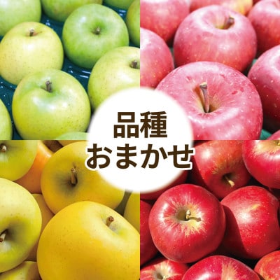 【訳あり】青森県産りんご 品種おまかせ お試しサイズ 約2kg【配送不可地域：離島・沖縄】【1716456】