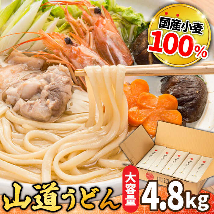 【ふるさと納税】＜スピード配送＞島原 手延べうどん 山道うどん 国産小麦100％ 160g×30袋 4.8kg / 島原手延べ うどん ウドン 饂飩 乾麺 麺 年内配送 年内発送 / 南島原市/ そうめんの山道 [SDC011]