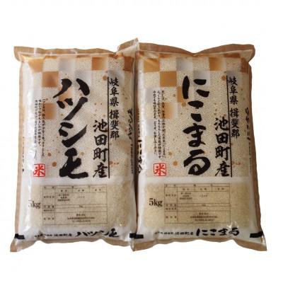 ふるさと納税 池田町 【令和7年産】8分精米 ハツシモ　にこまる 各5kgセット