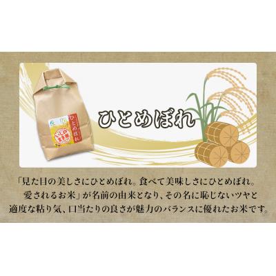 ふるさと納税 石巻市 R7年産 宮城県産 精米 3種 食べ比べ 3kg(1kg×3)お米 ササニシキ ひとめぼれ だて正夢 |  | 02