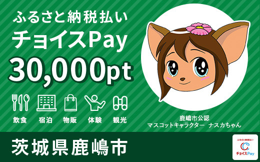 
鹿嶋市チョイスPay 30,000pt（1pt＝1円）【会員限定のお礼の品】
