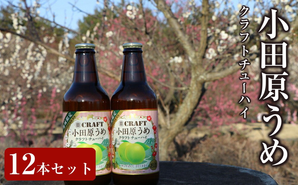
小田原うめクラフトチューハイ　12本セット
