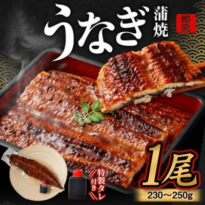 ふるさと納税 阪南市 【毎月定期便】「うまいもん定期便30(海鮮)」生ずわい蟹500g・うなぎ蒲焼1尾・鯛めし3食分全3回 |  | 01