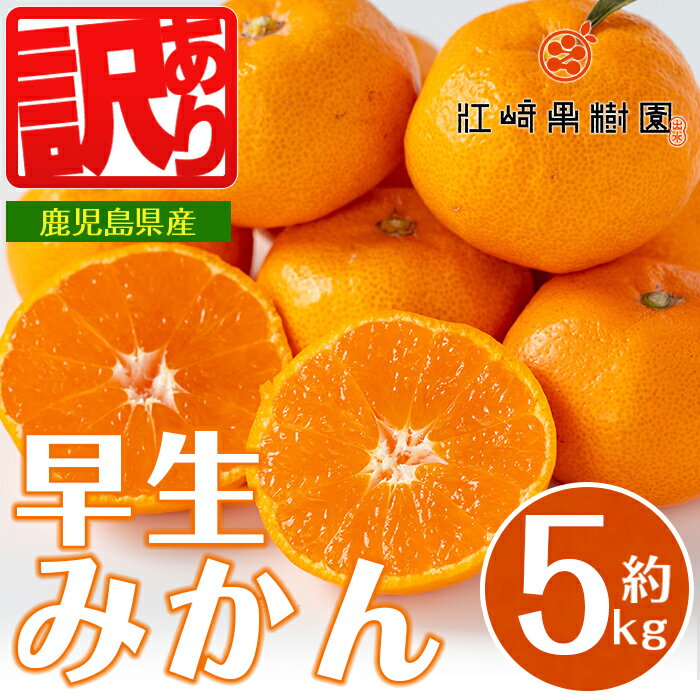 【ふるさと納税】＜先行予約受付中！2025年12月の間に発送予定＞ ＜数量・期間限定＞《傷ありのため訳あり》鹿児島みかん 早生系 (約5kg) みかん 蜜柑 ミカン 柑橘 早生 果物 フルーツ 果実 国産 鹿児島 訳あり 数量限定 期間限定 【江崎果樹園】