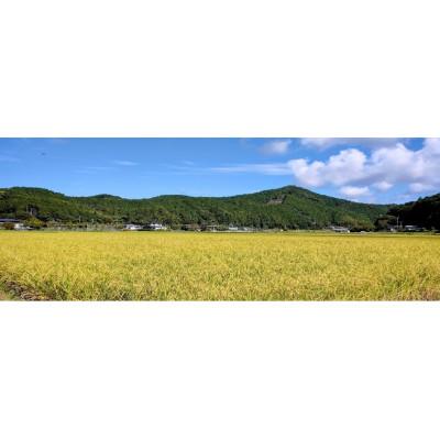 ふるさと納税 四万十町 新米7年産樽井商店の仁井田米　[幻の香る米]　精米　5kg |  | 01