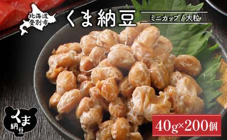 北海道くま納豆ミニカップ 大粒 200個 《順次発送》 国産 なっとう ナットウ 高級 大豆 厳選 老舗 栄養 発酵 ふるさと納税 北海道 登別市