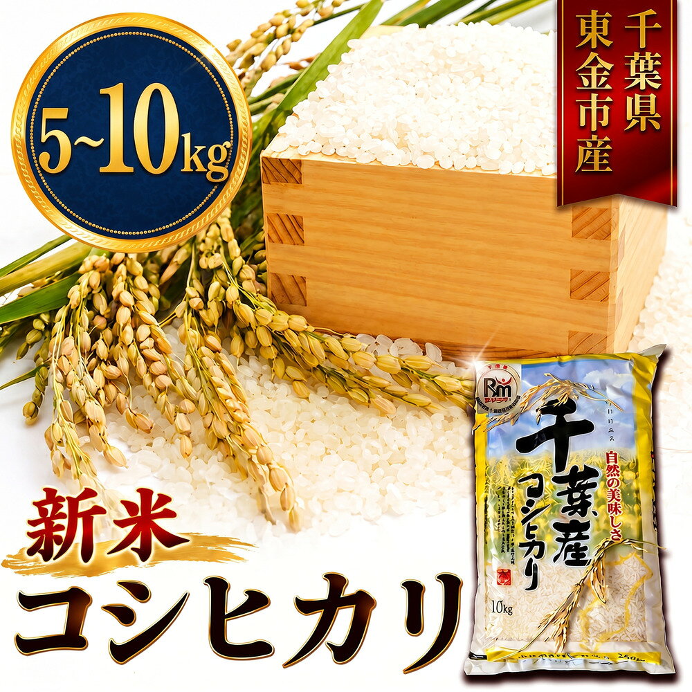 【ふるさと納税】 新米 こしひかり 5kg ~ 10kg 米 お米 こめ コメ コシヒカリ 8年度産 千葉県産 kome okome 精米 白米 ご飯 ごはん 備蓄米 国産 炊飯 ※ ブランド米 甘い ツヤ ギフト 贈答 甘み 粘り 香り kosihikari 農家直送 数量限定 産地直送 前嶋商店 千葉県 東金