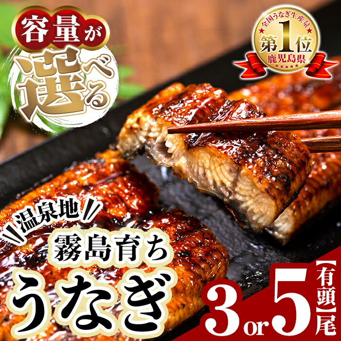 【ふるさと納税】＜容量が選べる＞霧島市育ちのあの「うなぎ」3尾or5尾(1尾120～130g・冷凍) 鰻 ウナギ 蒲焼き 蒲焼 国産【田代水産】