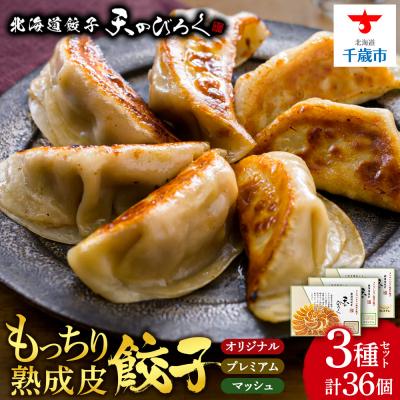 ふるさと納税 千歳市 北海道餃子天のびろく　3種セット(オリジナル・とかちマッシュ・プレミアム)