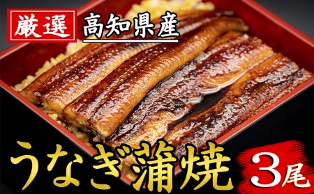 厳選!!高知県産うなぎ(3尾)｜うなぎうなぎうなぎうなぎ