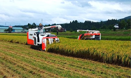 [コシヒカリ] 新潟県三条市の下田産こしひかり 5kg×2 白米 精米 お米 【020S023】